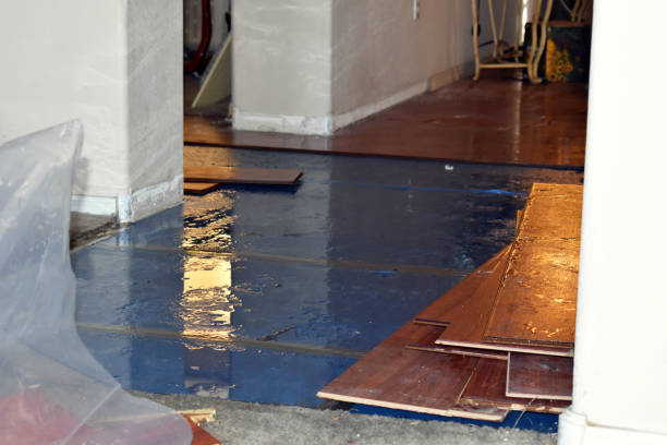 Professional Basement Water Removal technician working in East Sandwich, MA